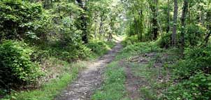 Soldiers Delight Natural Environnmental Area Photo