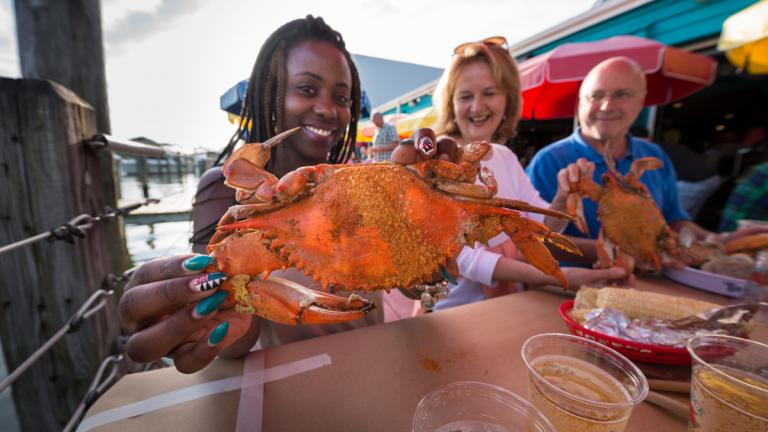 Enjoying crabs