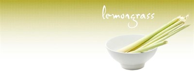 Lemongrass logo Photo