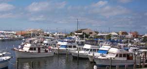 Somers Cove Marina Photo