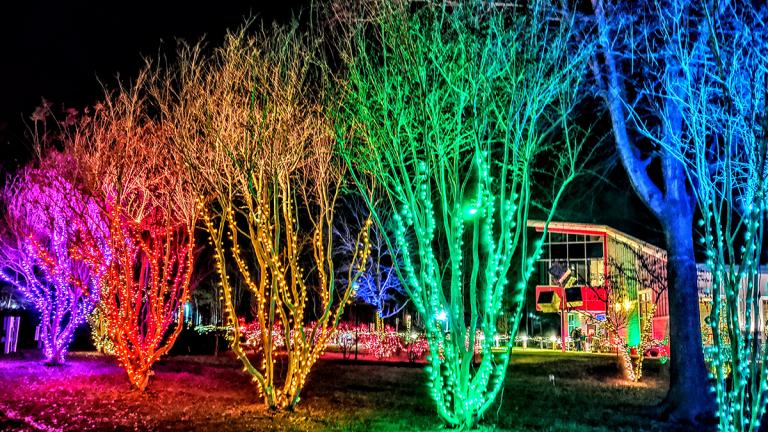 Annmarie Garden Holiday Lights