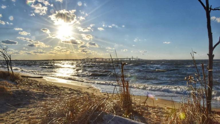 Terrapin Nature Park Beach