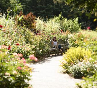 Brookside Gardens Pathway with Visitors