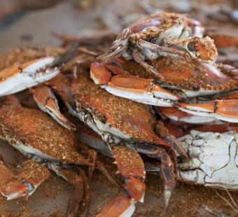 Pile of Crabs at Waterman's