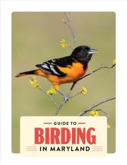 Guide to Birding in Maryland 2024